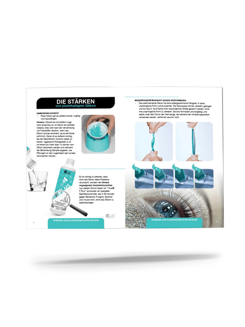 "Dynamik des Schwungs" - Handbuch