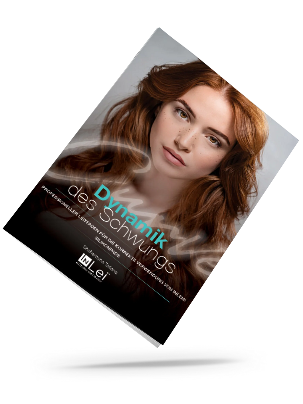 "Dynamik des Schwungs" - Handbuch