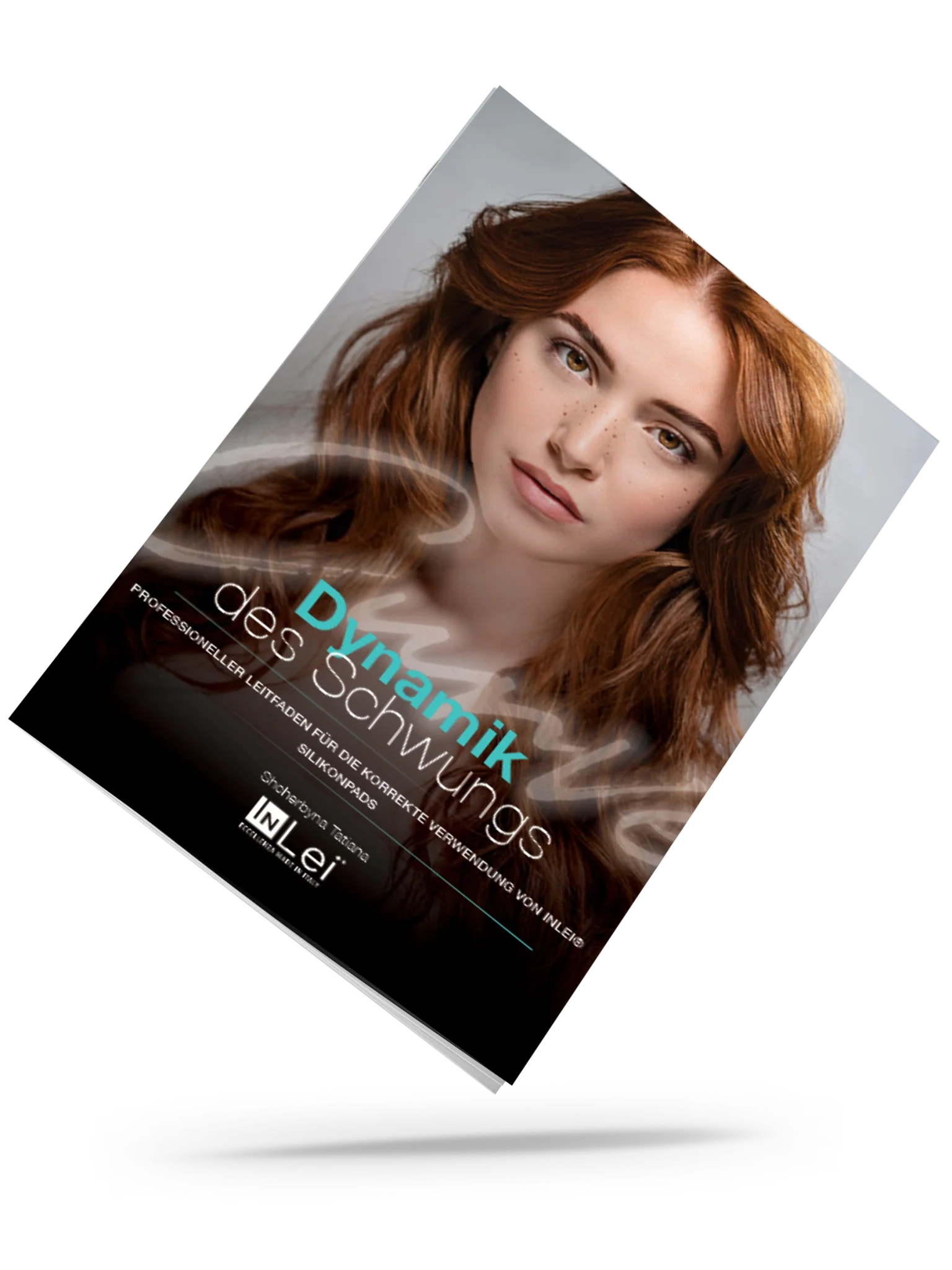 "Dynamik des Schwungs" - Handbuch